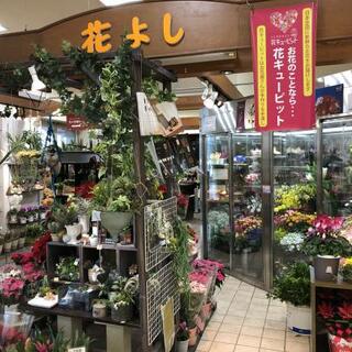 花よし 成松店の写真5