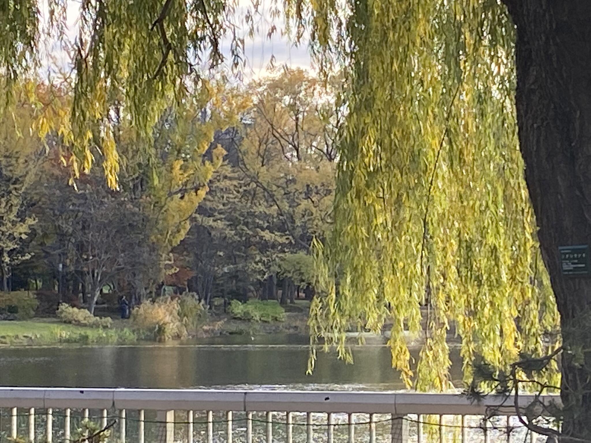 北海道立札幌中島体育センター 札幌市中央区中島公園/スポーツ施設 Yahoo!マップ