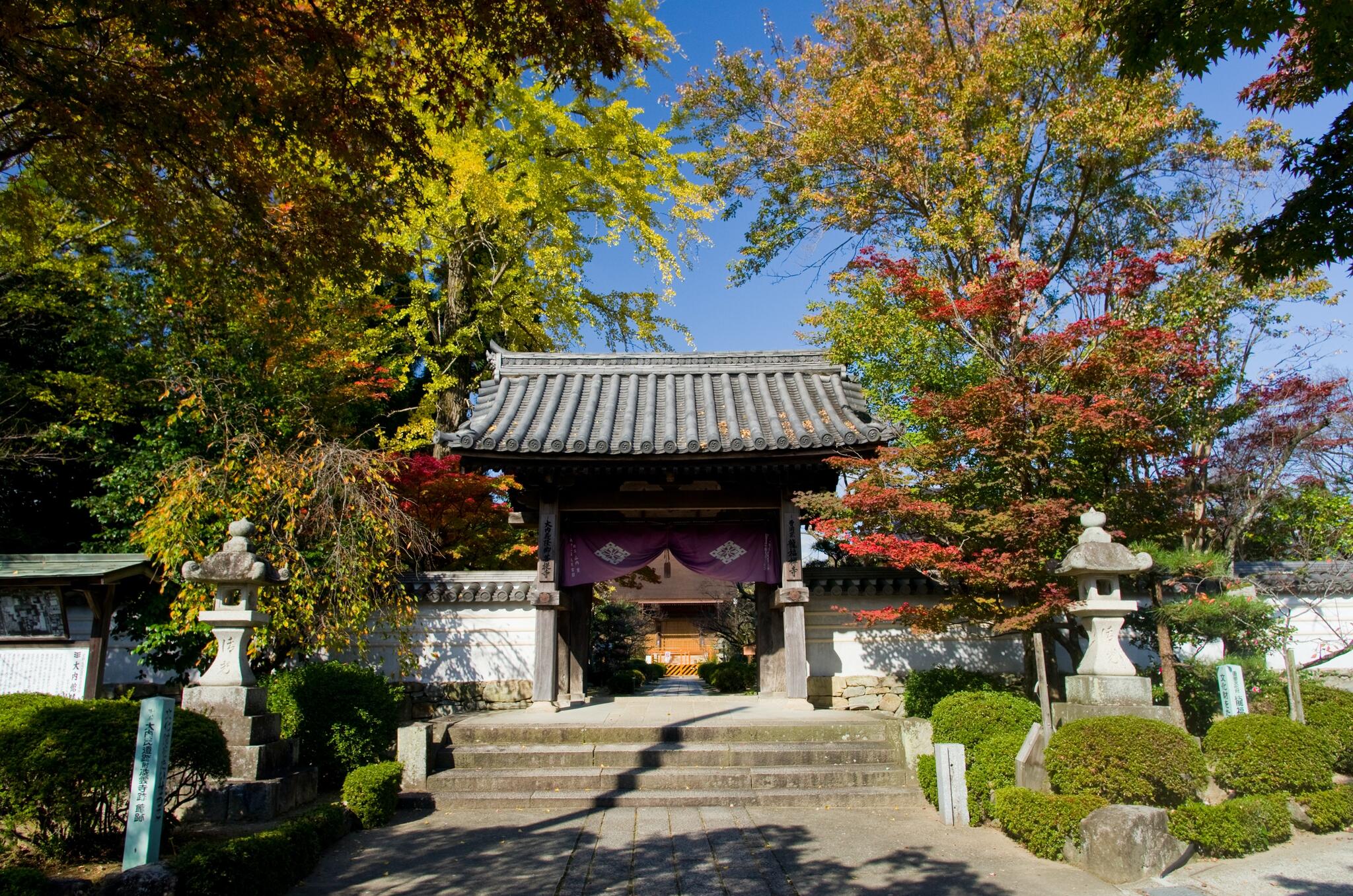 龍福寺の代表写真4