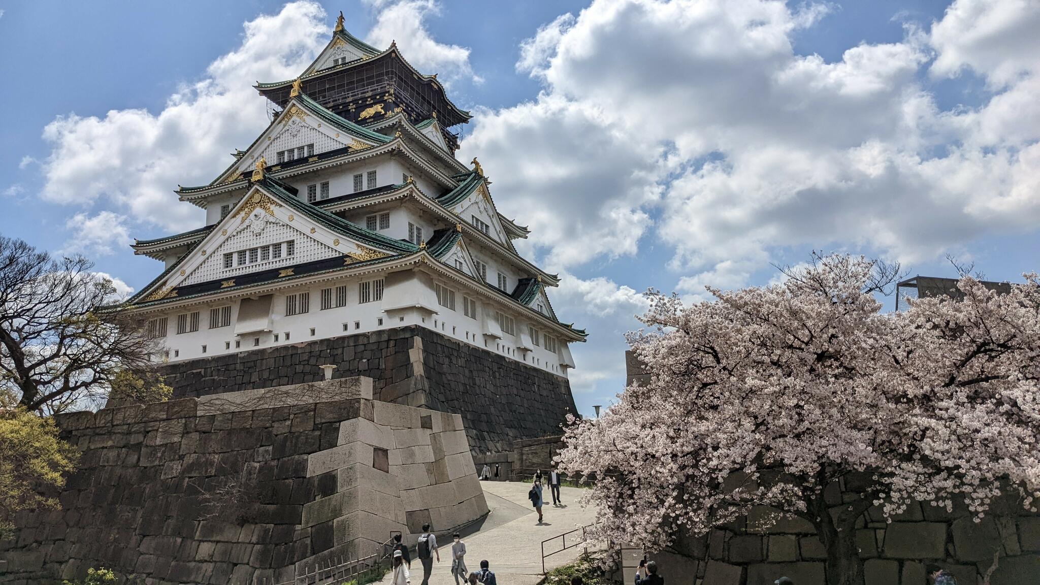 松江城山公園の代表写真10