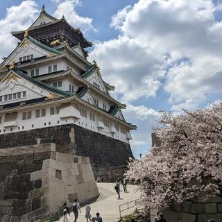 松江城山公園の写真10