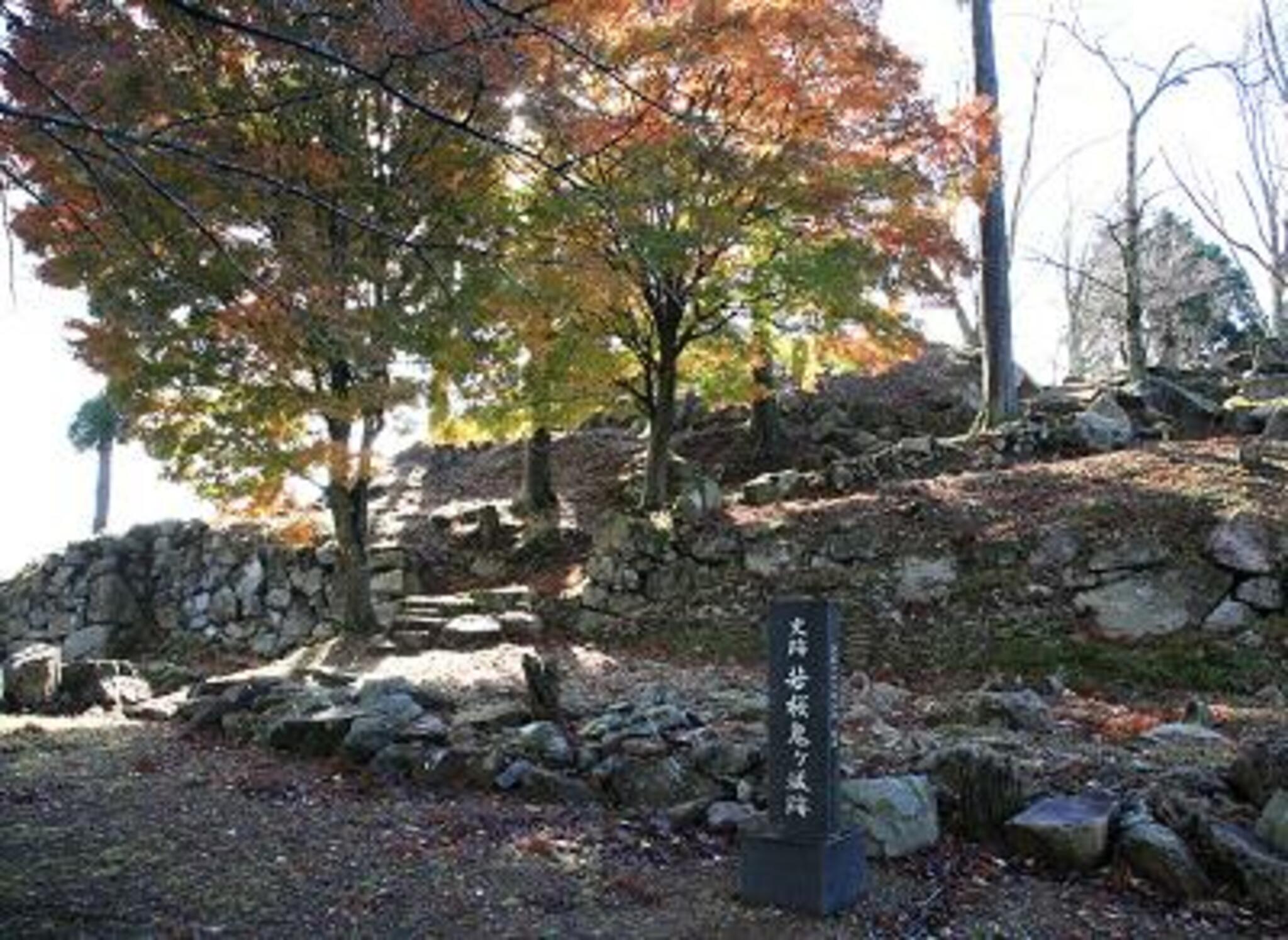 若桜鬼ヶ城跡の代表写真10