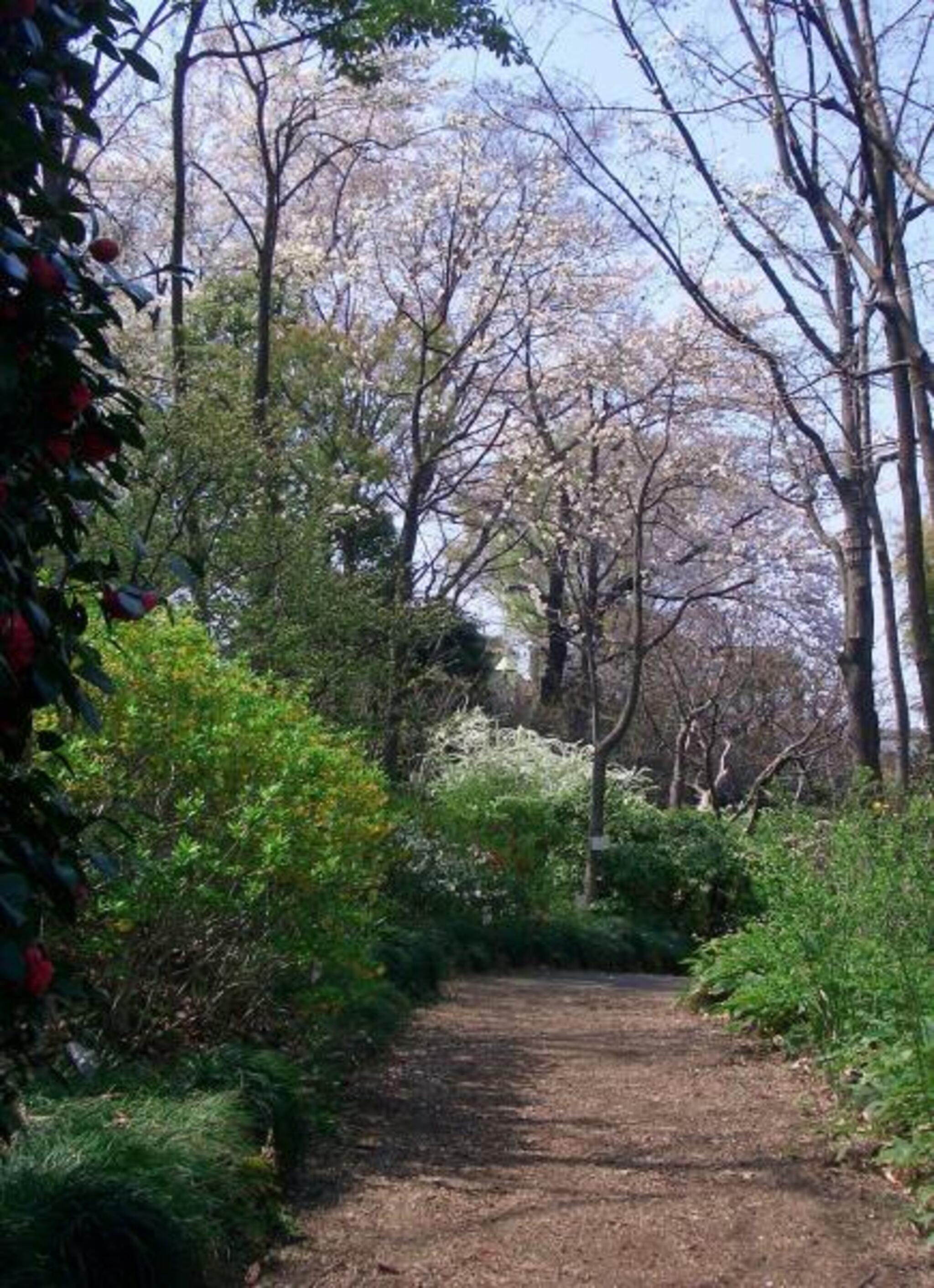 赤塚植物園の代表写真5
