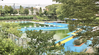 松戸 運動 公園 プール トップ 帽子