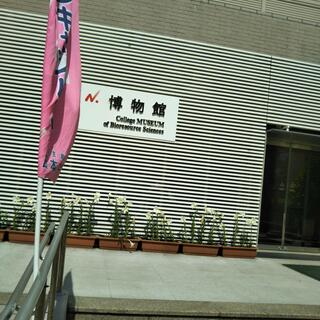 日本大学生物資源科学部博物館の写真5