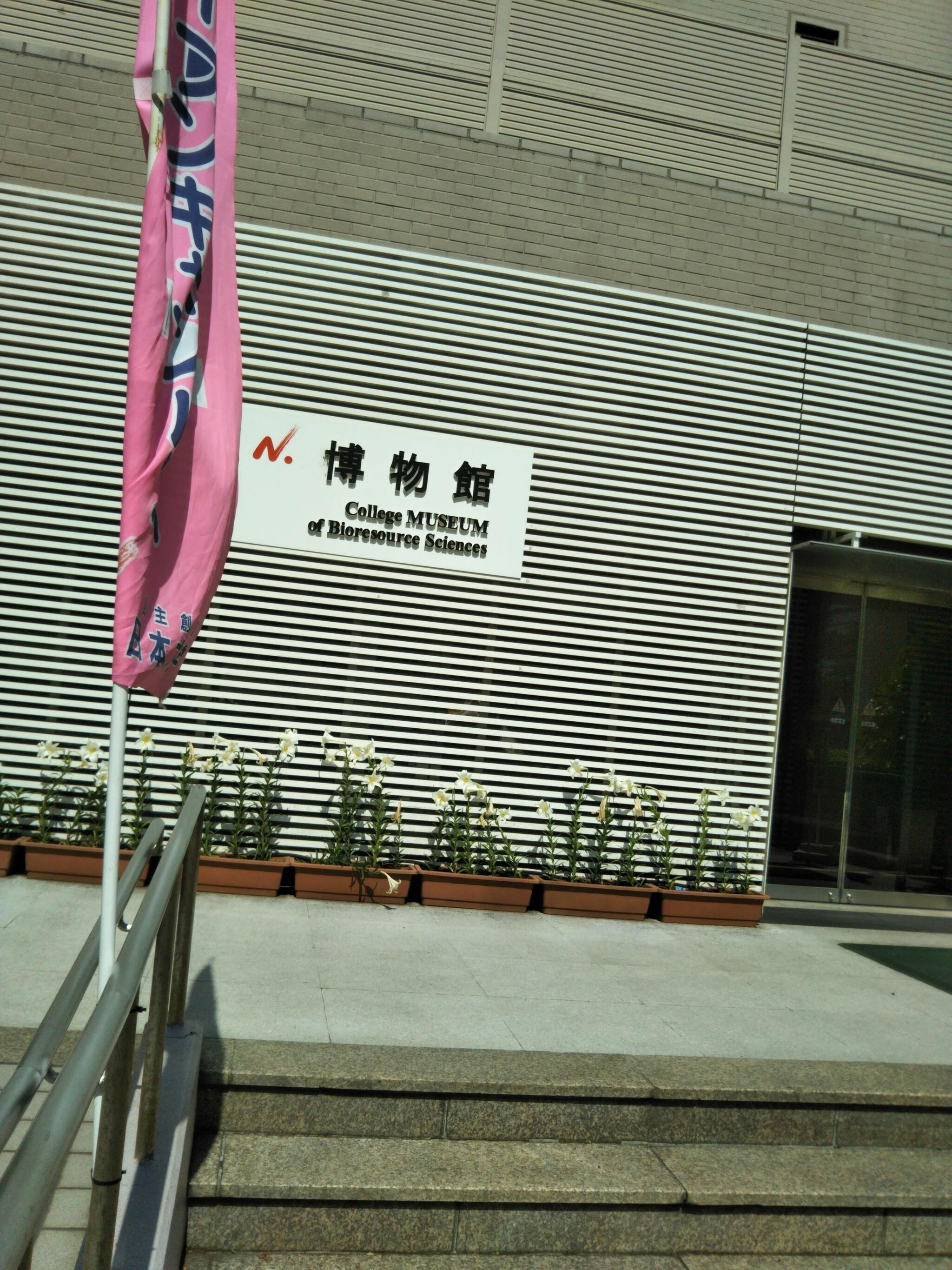 日本大学生物資源科学部博物館の代表写真5