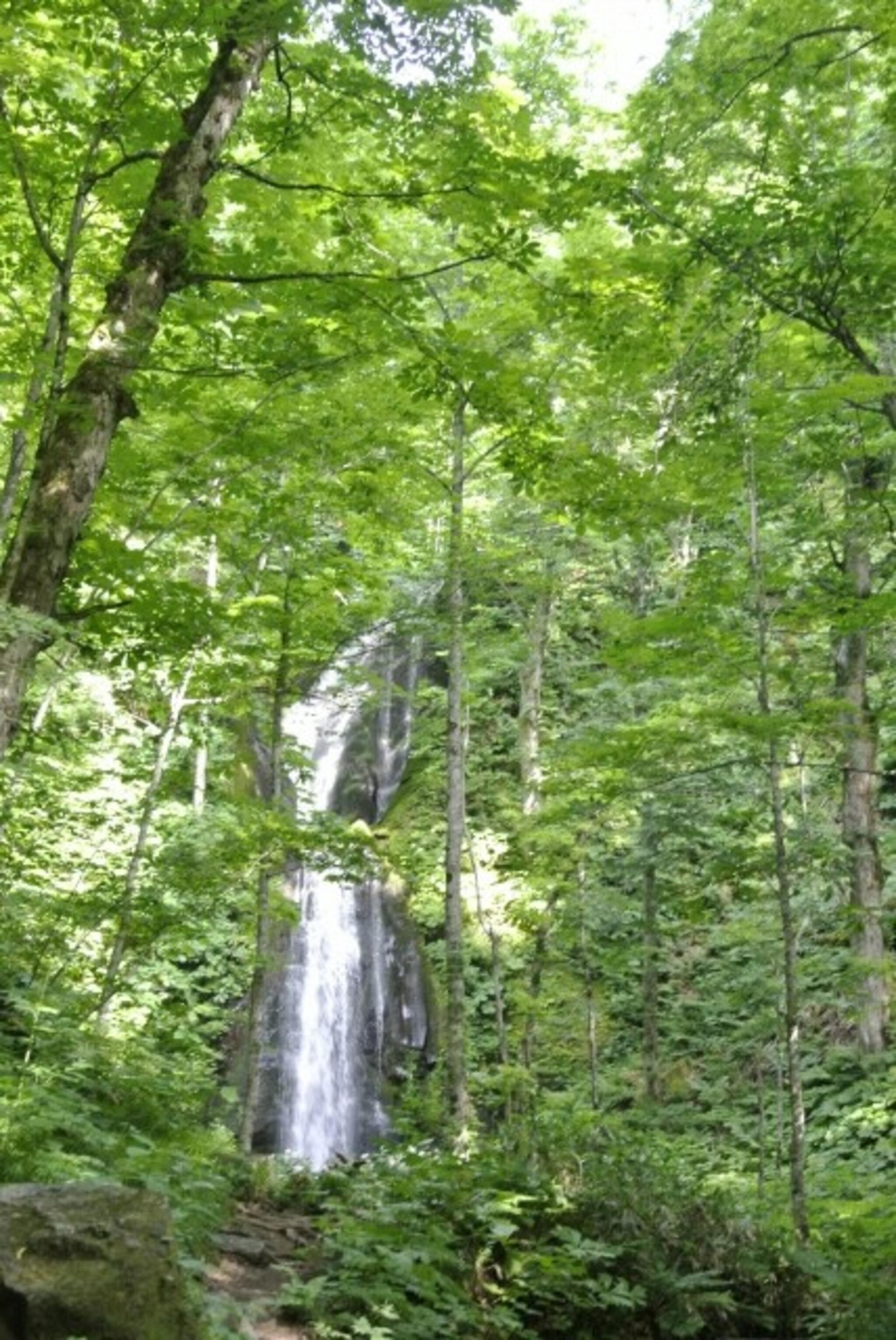 白布の滝の代表写真5