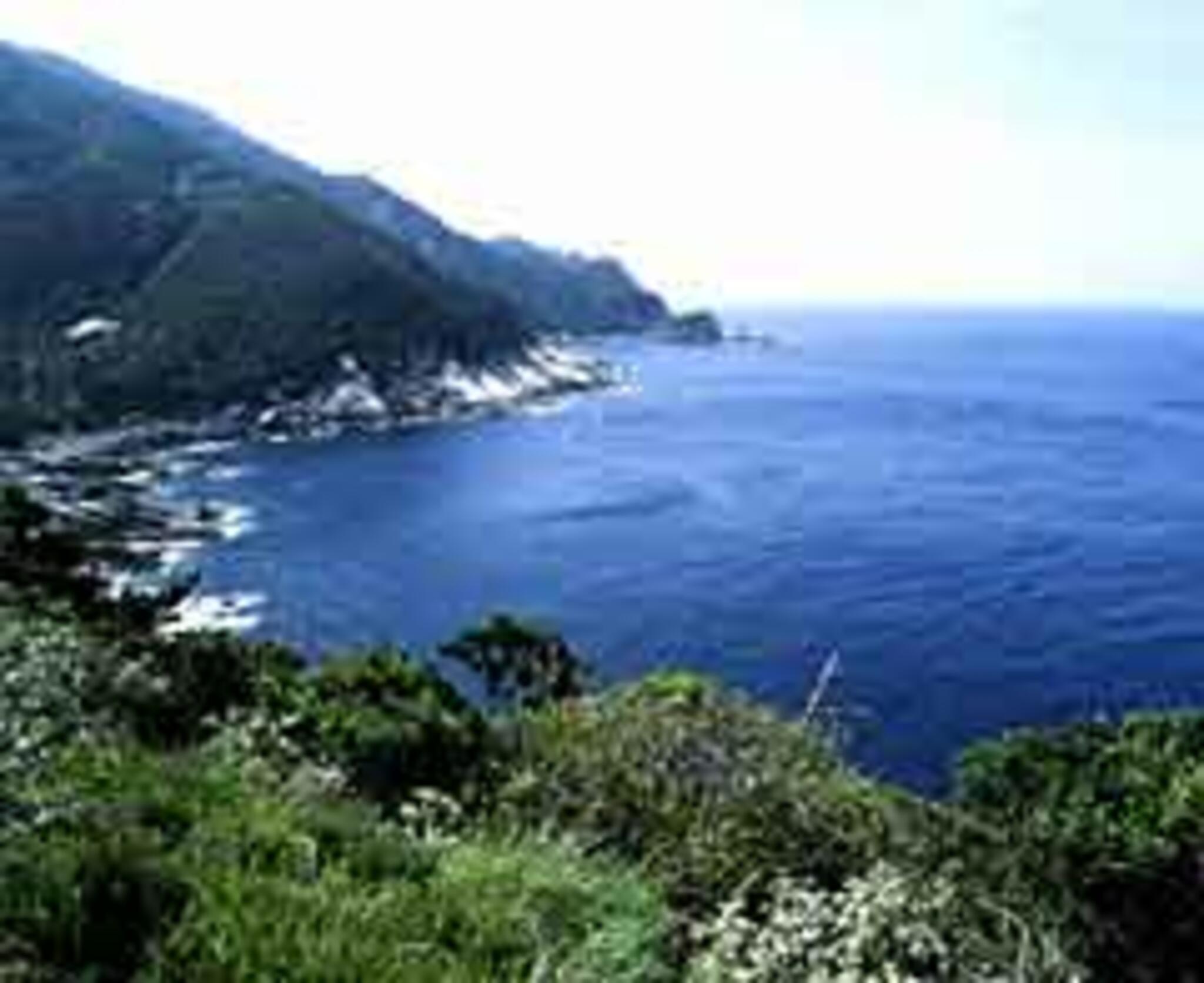 屋久島西部海岸の代表写真6