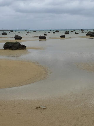 佐和田の浜のクチコミ写真1