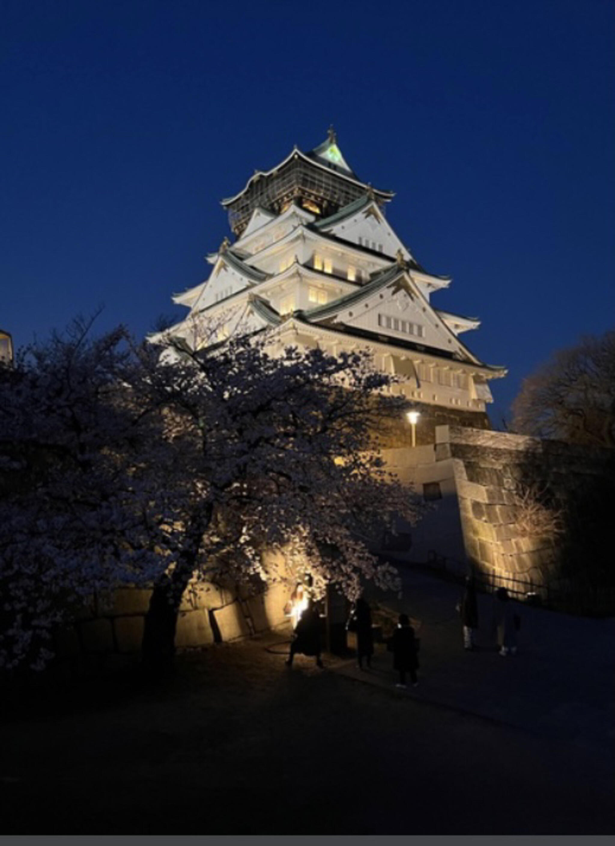 大阪城西の丸庭園の代表写真3