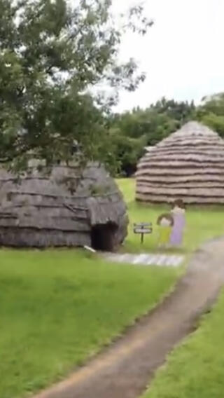 鹿児島県上野原縄文の森のクチコミ写真2