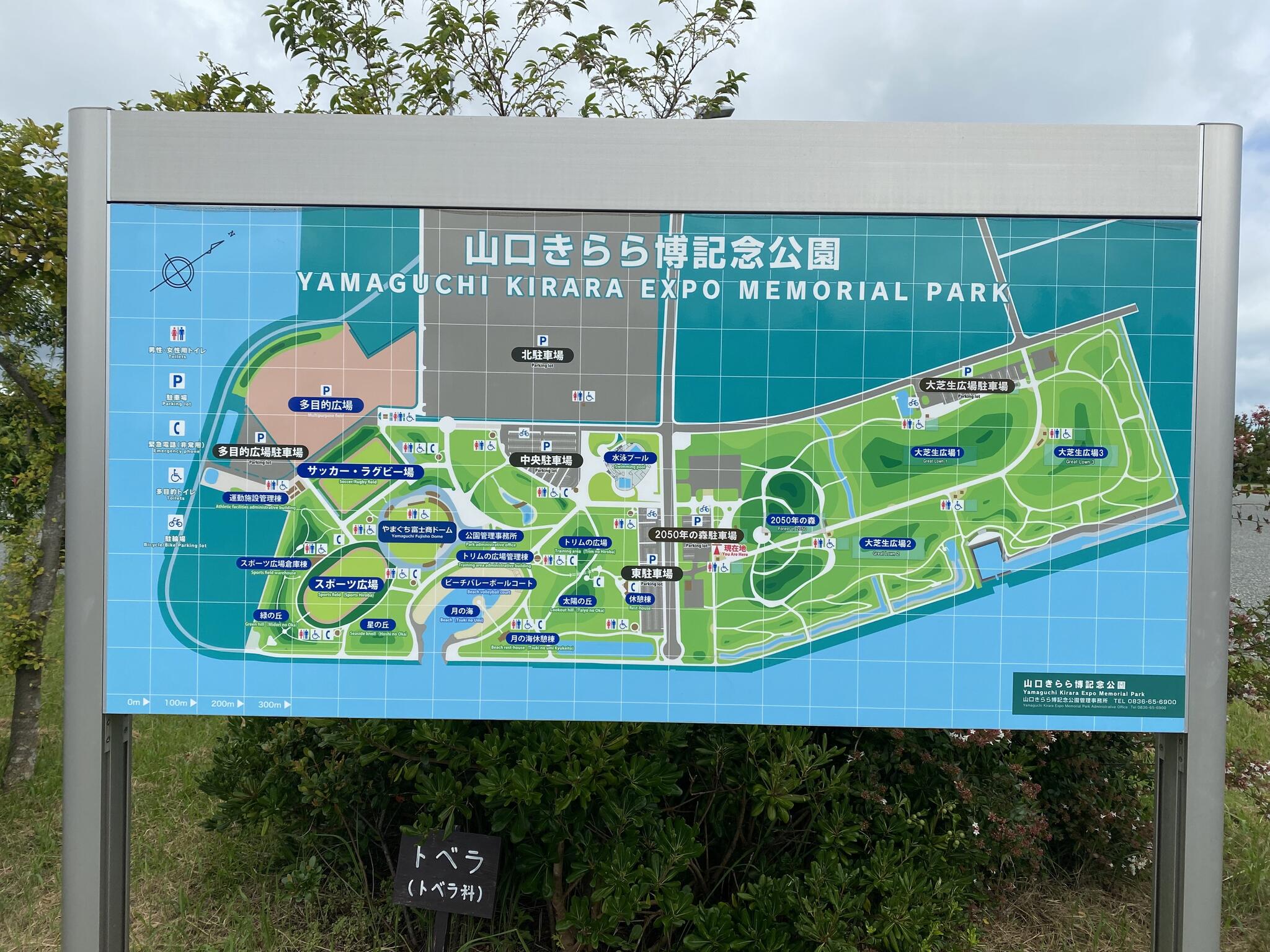 クチコミ 山口きらら博記念公園水泳プール 山口市阿知須/プール施設 Yahoo!マップ