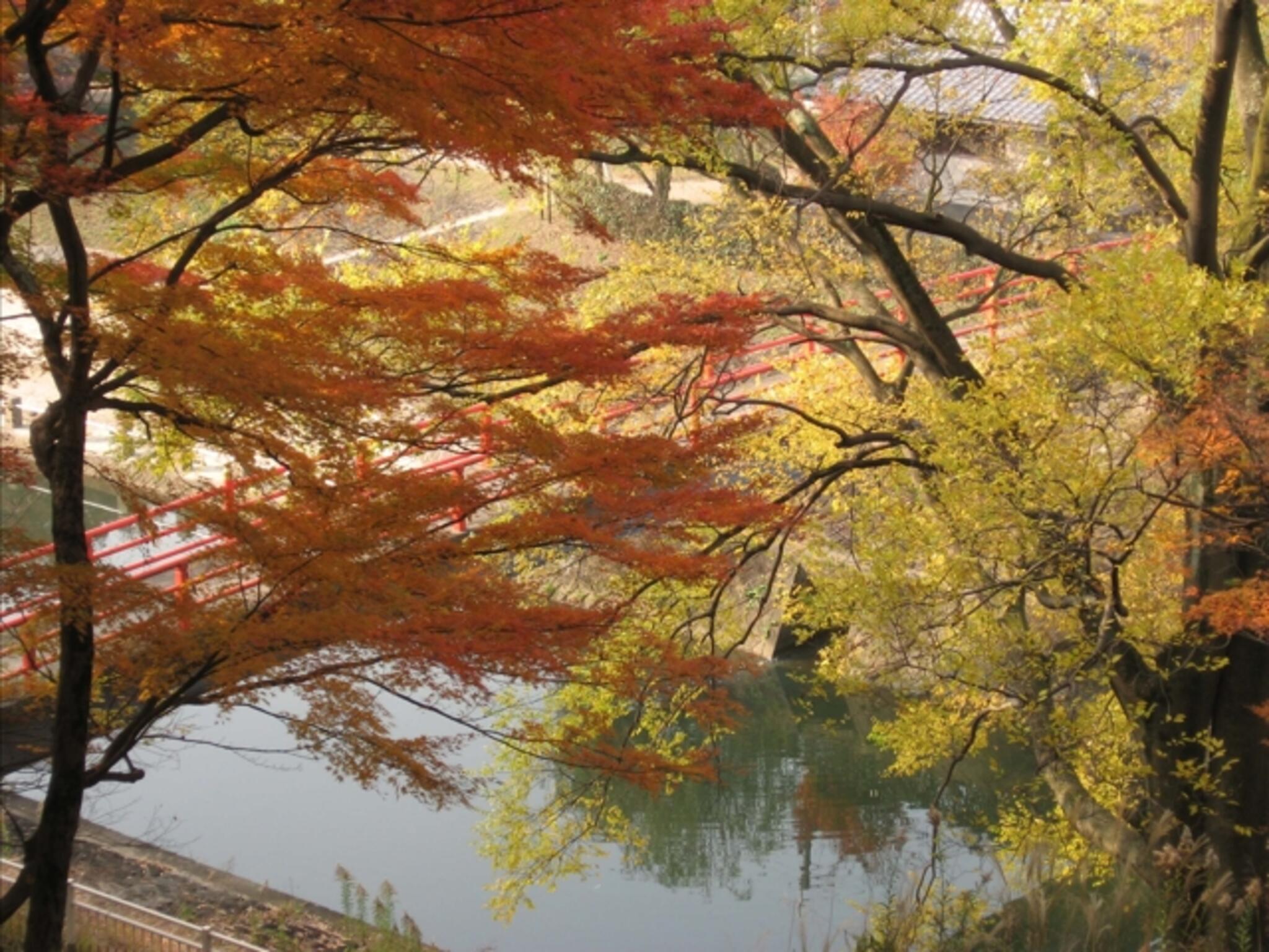 奈良県立竜田公園の代表写真1