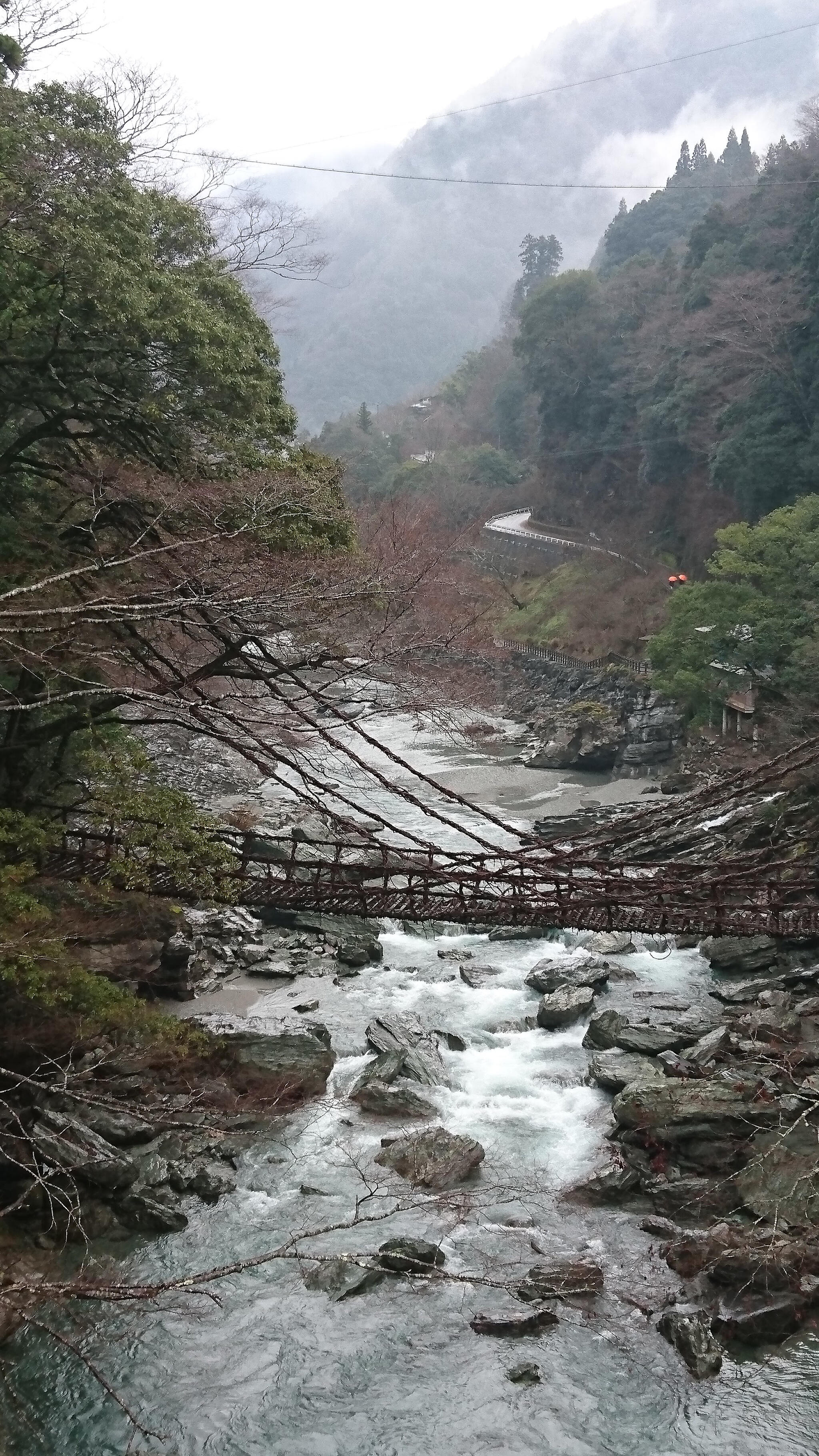 新祖谷温泉の代表写真1