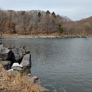 緑ケ丘公園(苫小牧市)の写真23