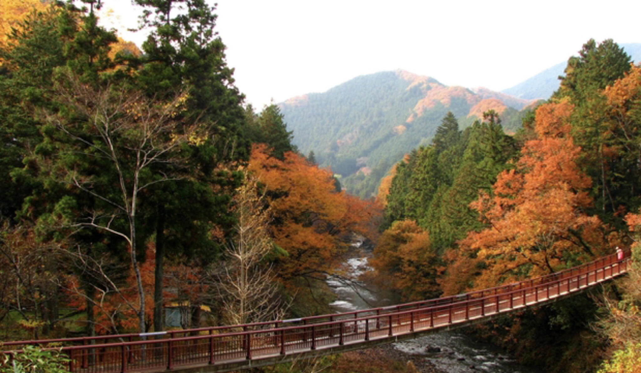 秋川渓谷の代表写真7