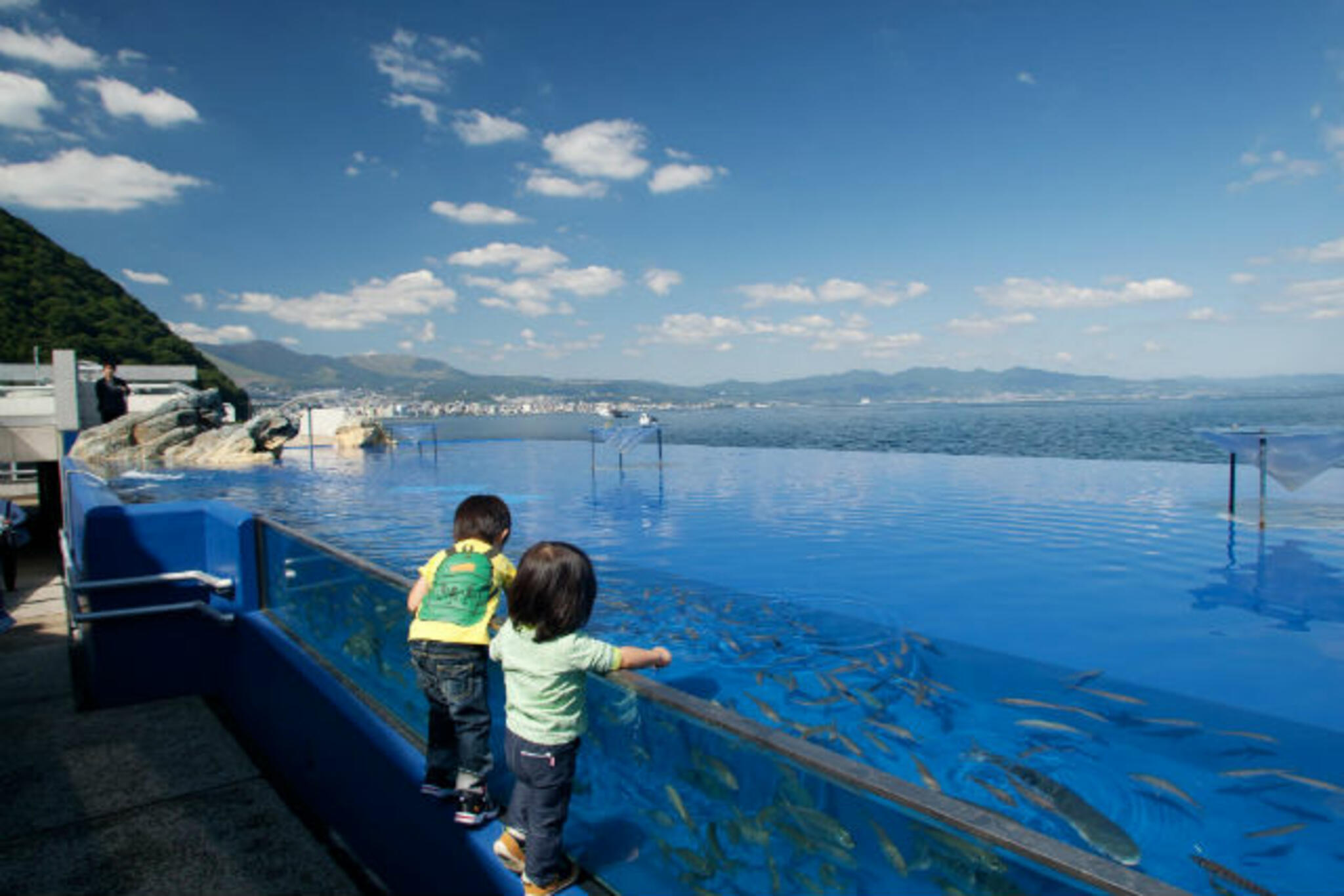 大分マリーンパレス水族館「うみたまご」の代表写真5