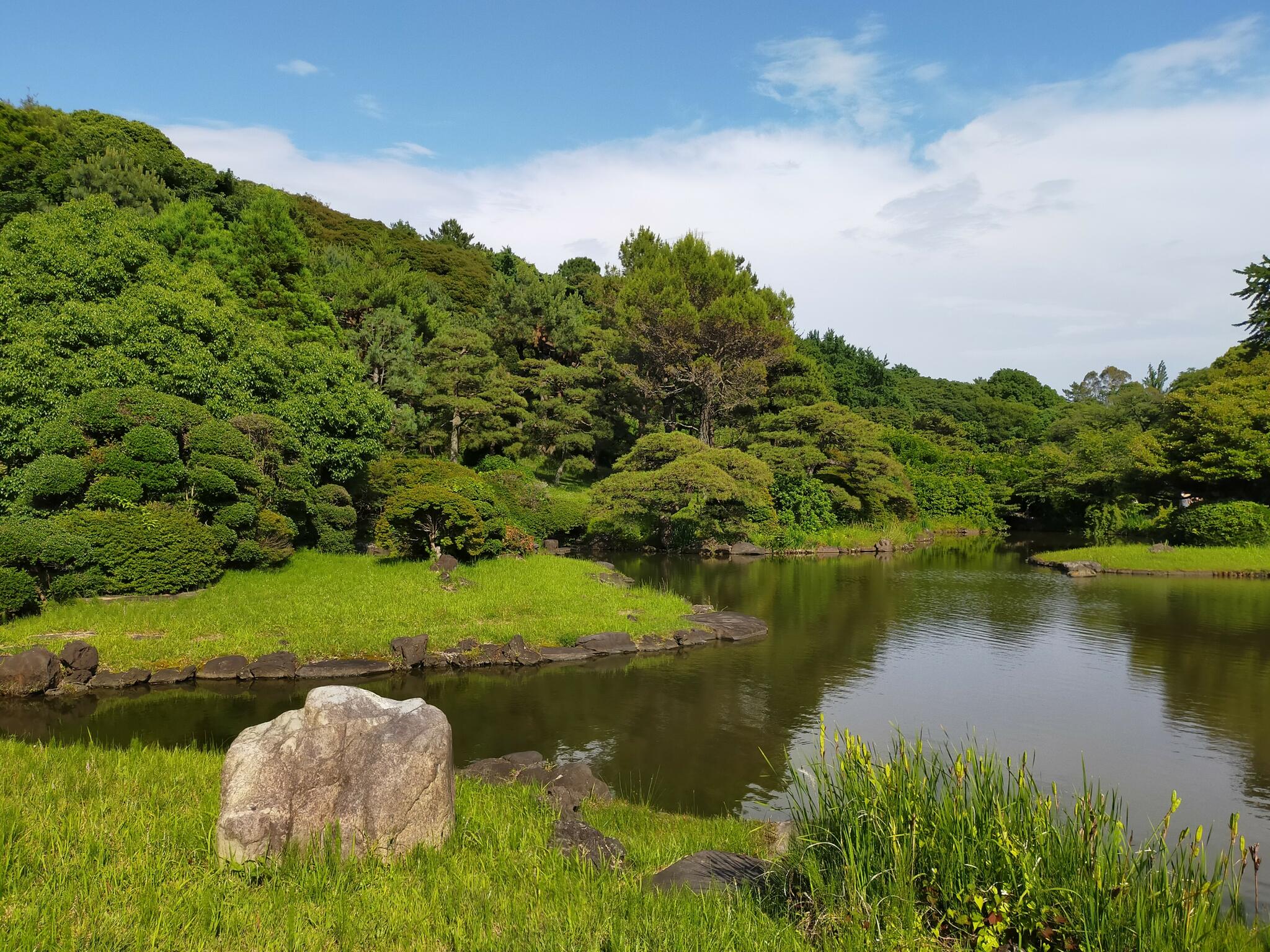 小石川植物園の代表写真8