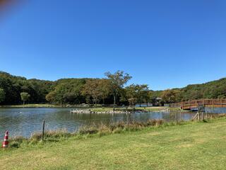 緑ケ丘公園(苫小牧市)のクチコミ写真1