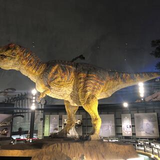 福井県立恐竜博物館の写真9