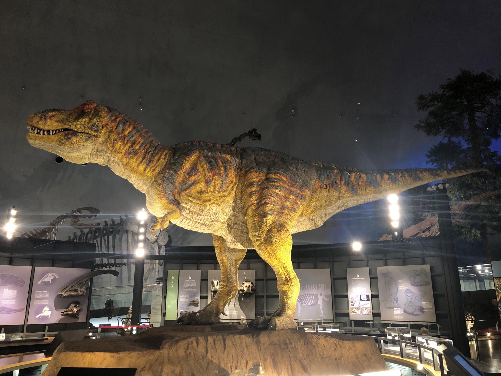 福井県立恐竜博物館の代表写真9