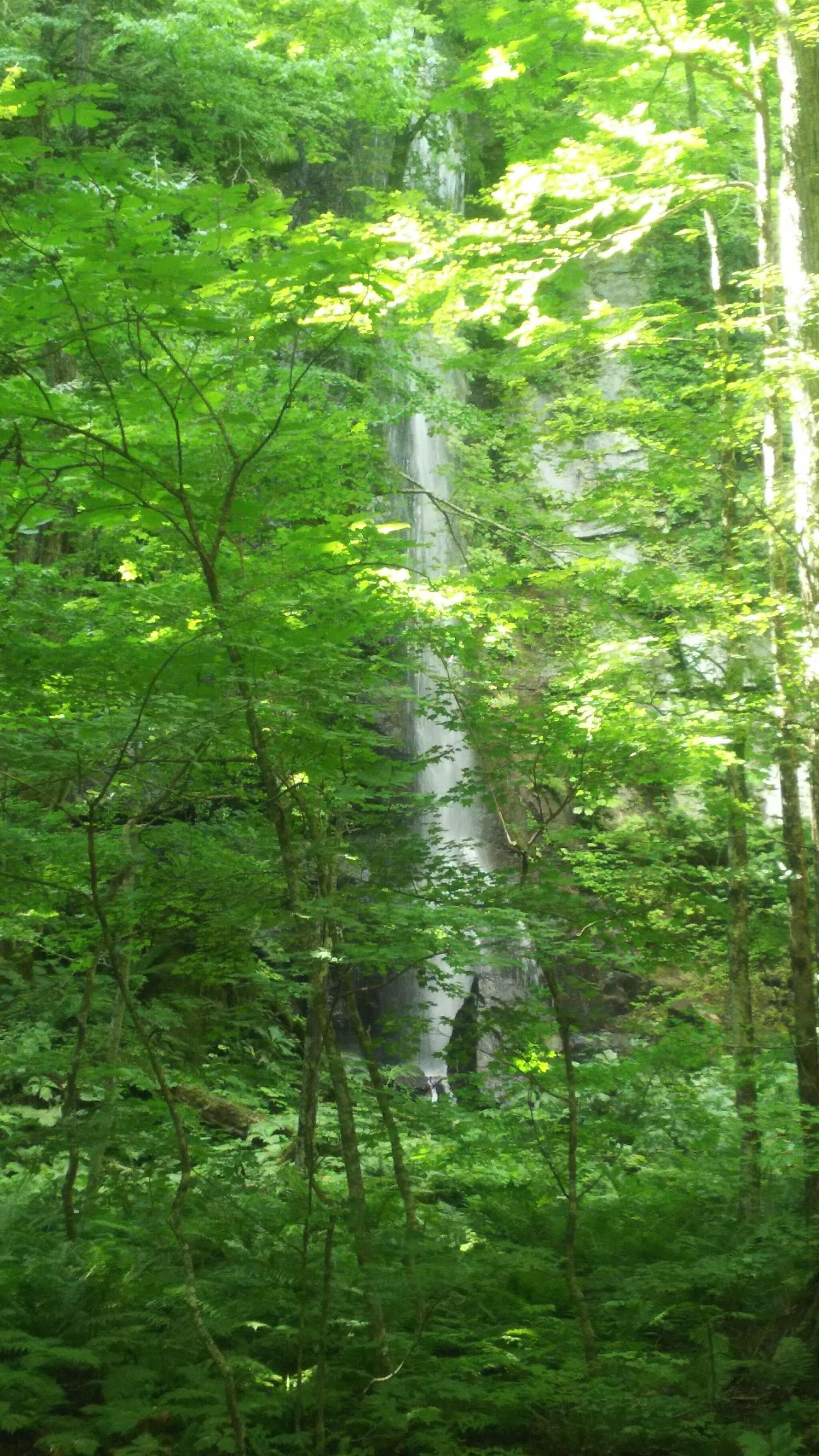 白布の滝の代表写真3