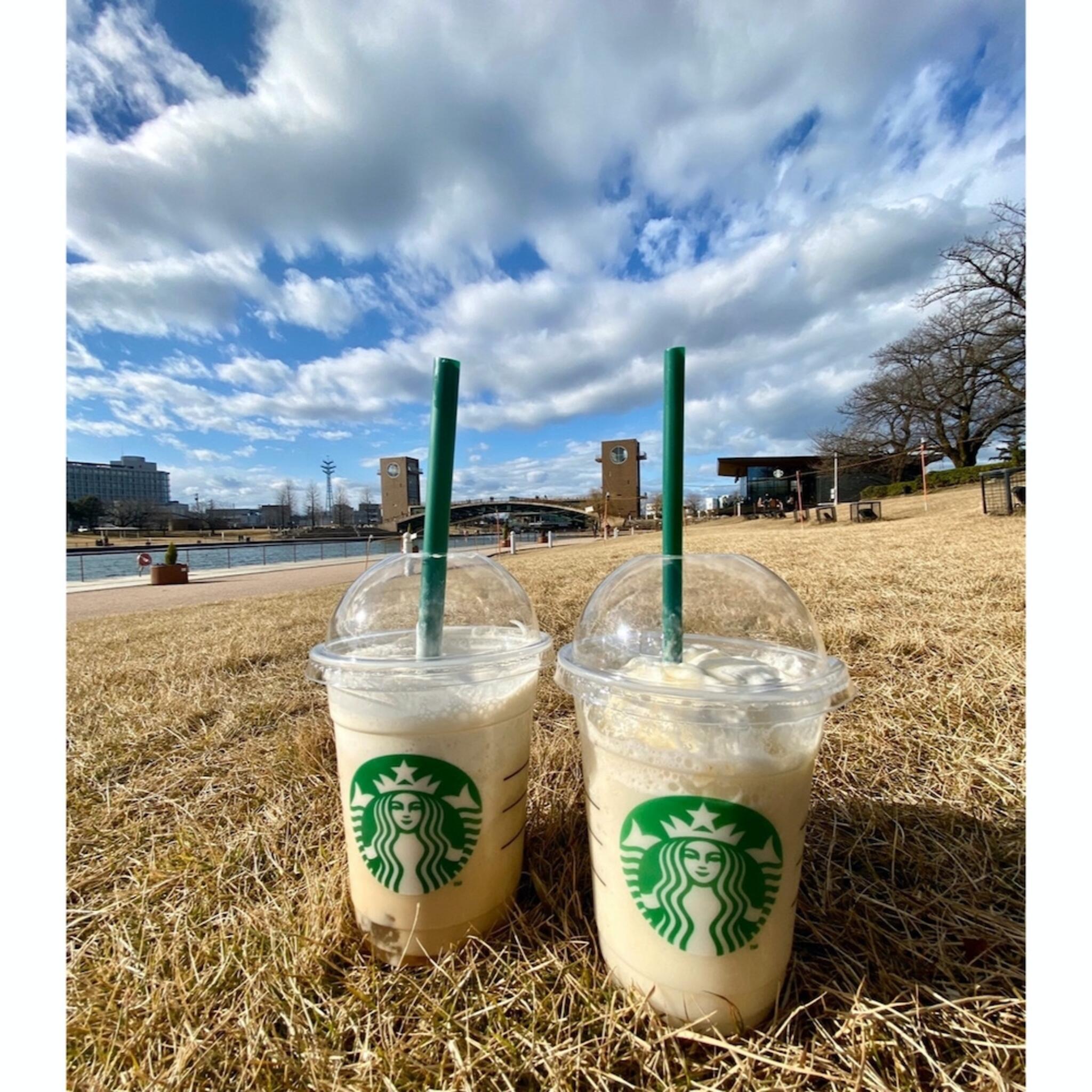 スターバックスコーヒー 富山環水公園店の代表写真1