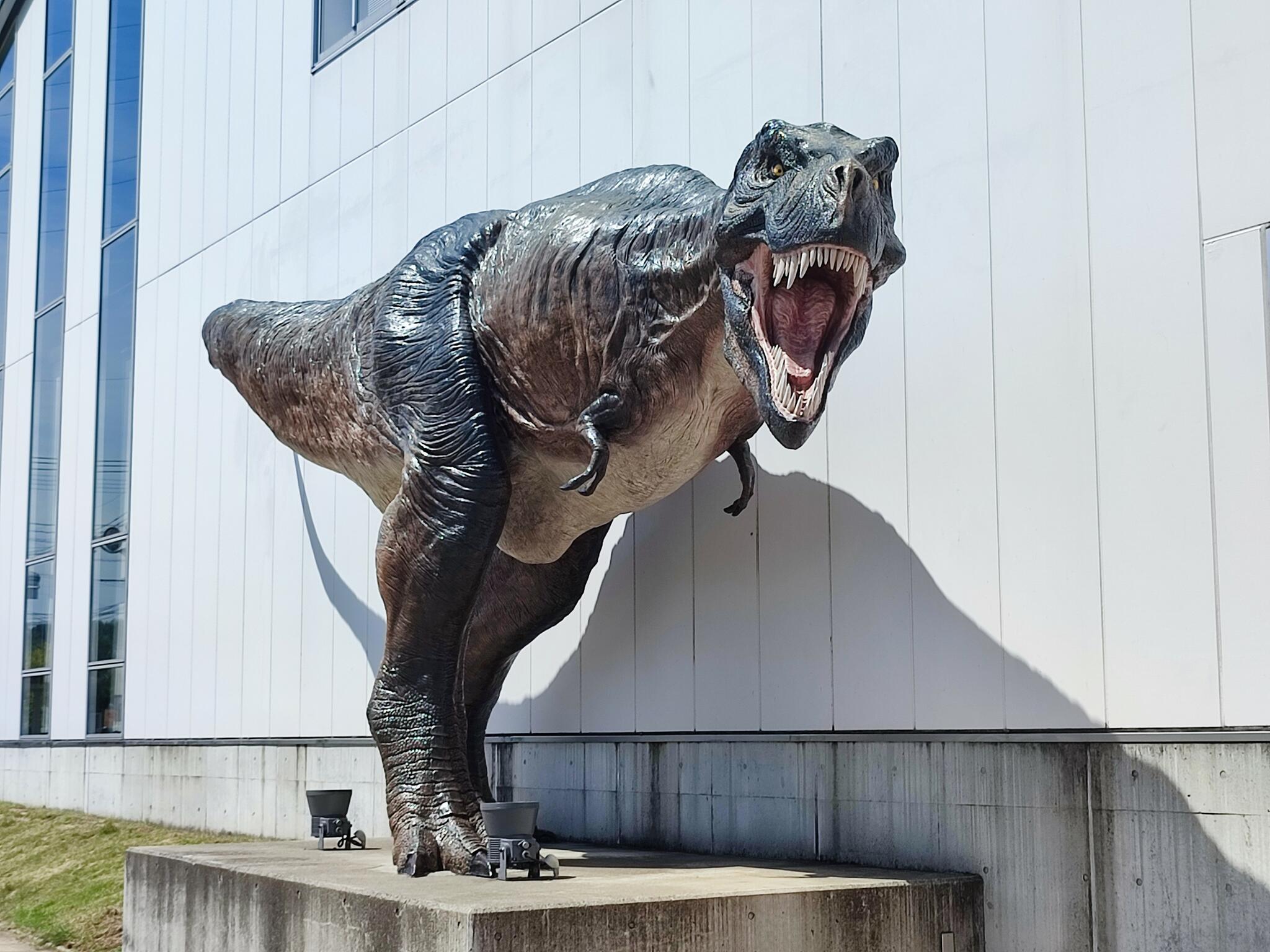 御船町恐竜博物館の代表写真9