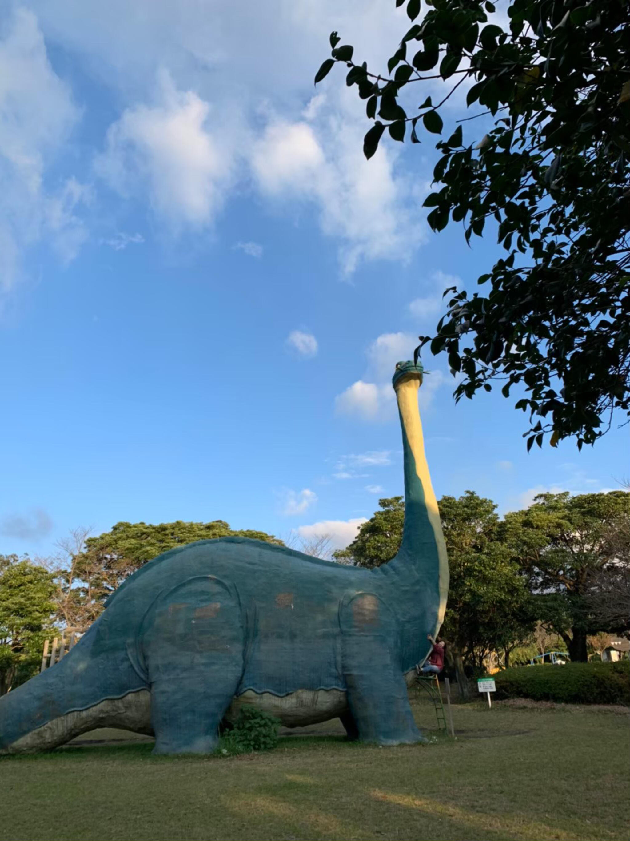 桜島自然恐竜公園の代表写真8