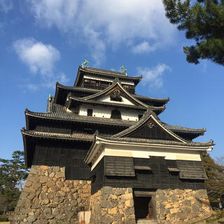 松江城山公園の写真4