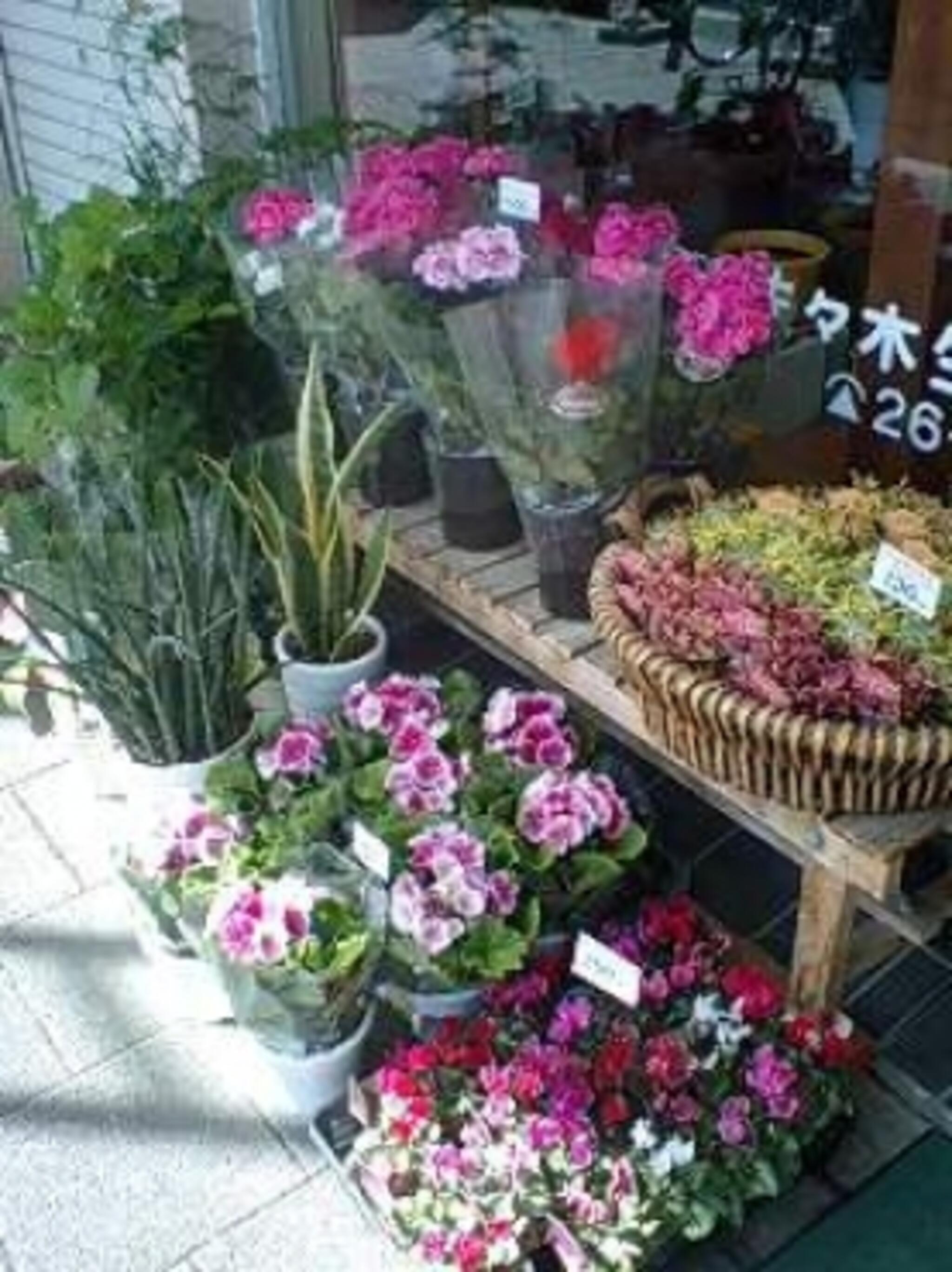佐々木生花店の代表写真3