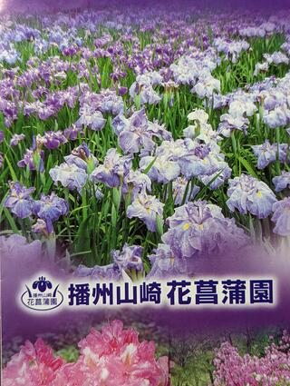 播州山崎花菖蒲園のクチコミ写真1