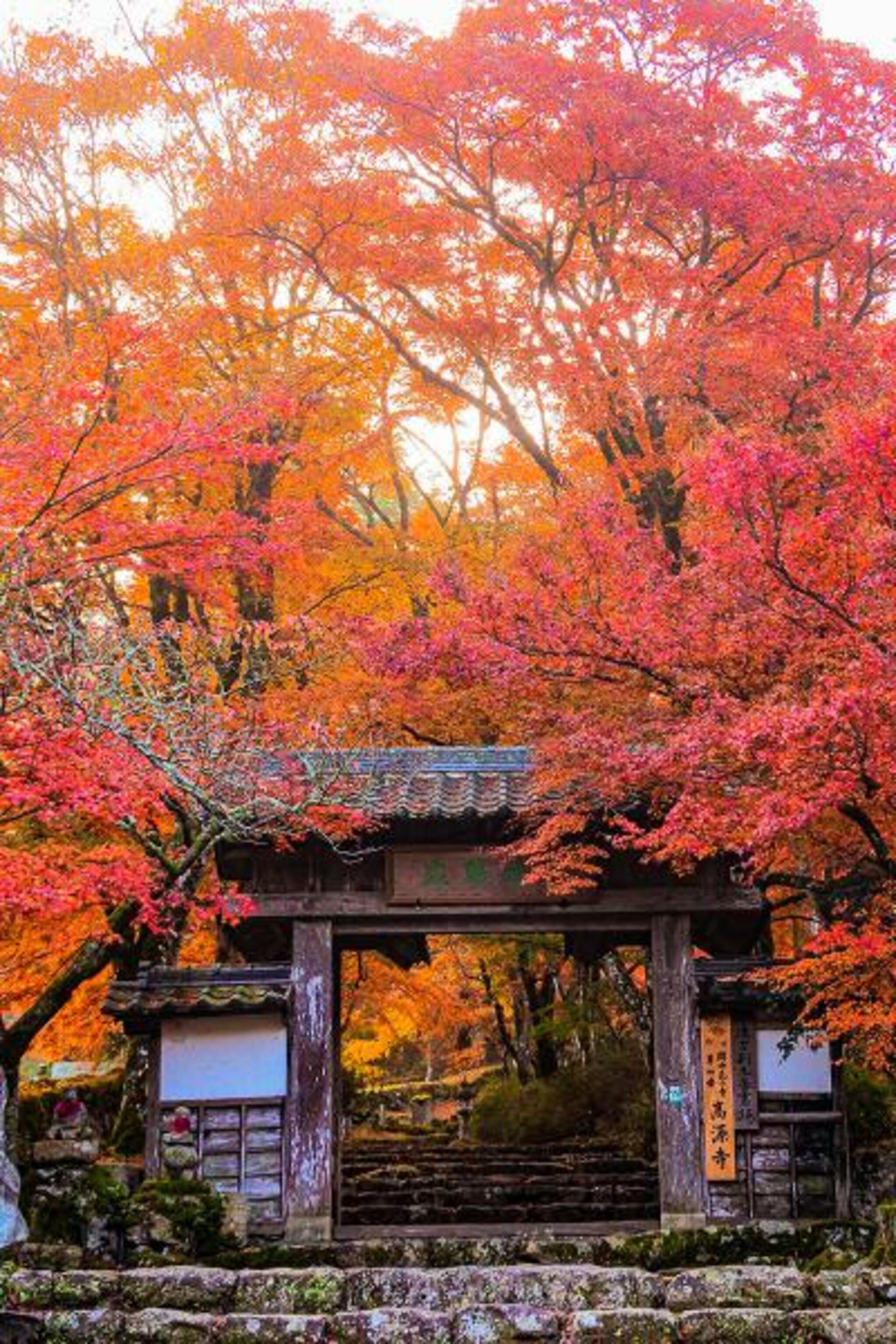 高源寺の代表写真9