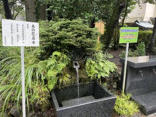 浅間神社のクチコミ写真3