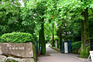 赤塚植物園のクチコミ写真1