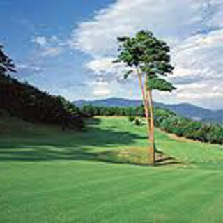 松山国際ゴルフ倶楽部の写真21