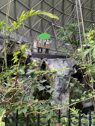 豊田市鞍ヶ池植物園のクチコミ写真1