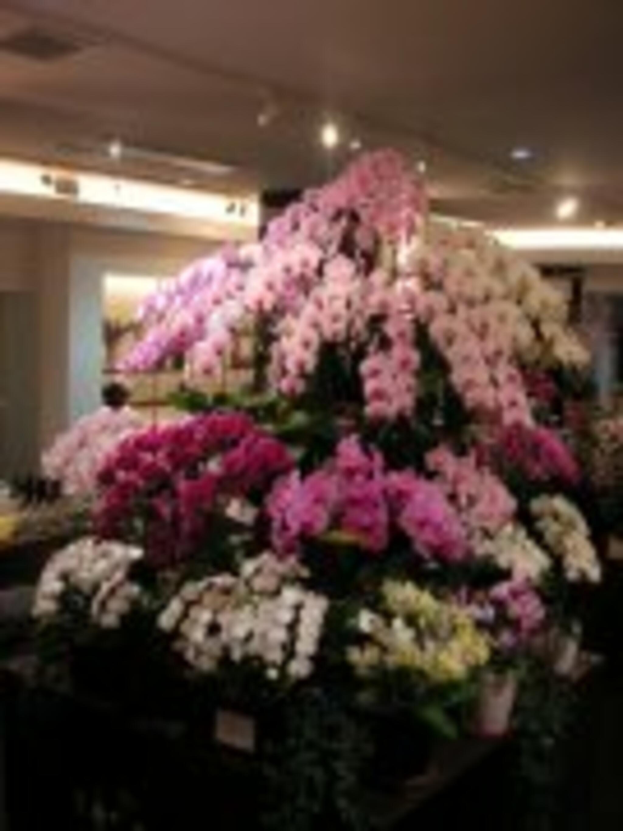 株式会社花のチモト若松の代表写真1