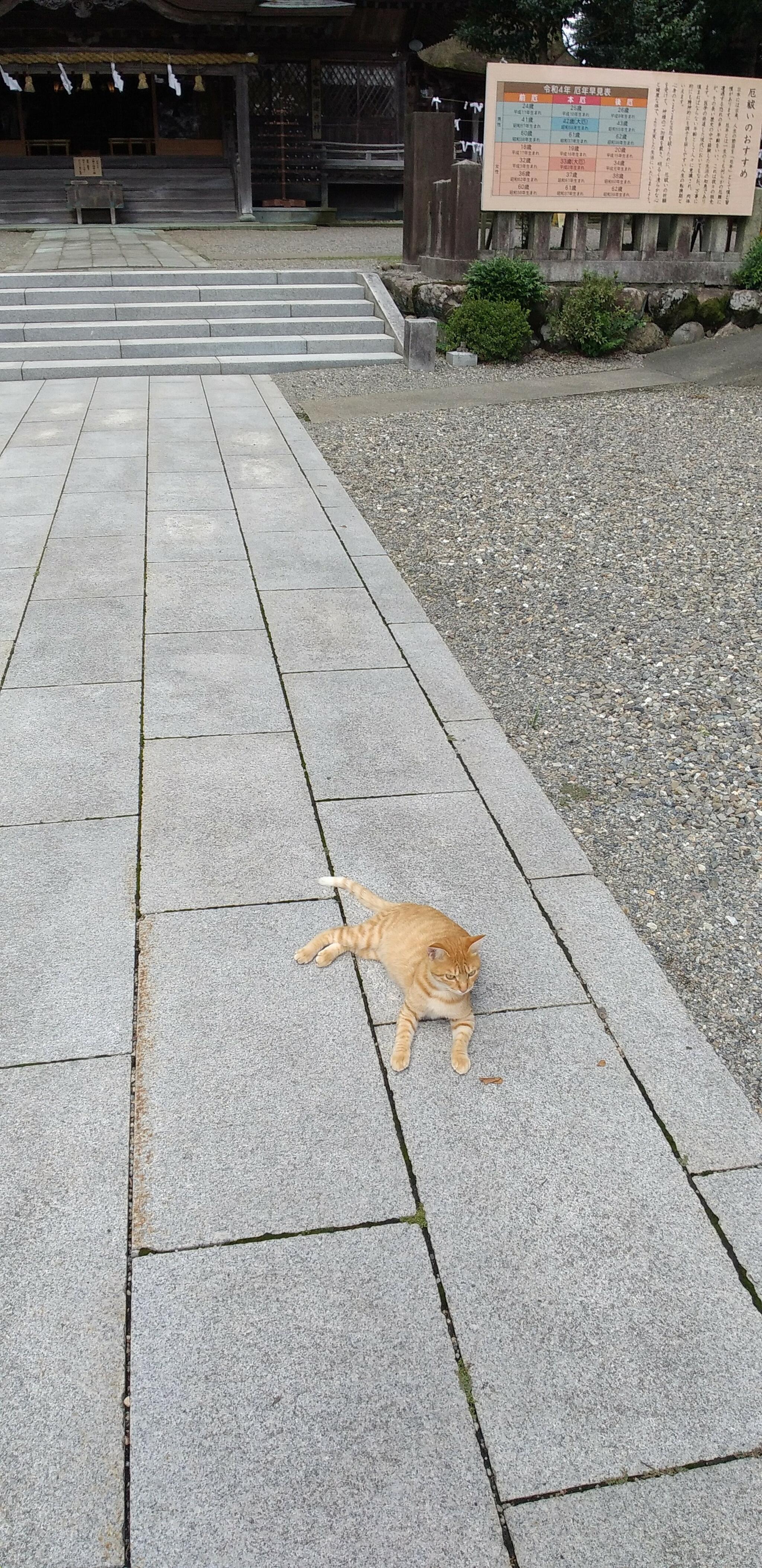 劔神社の代表写真10