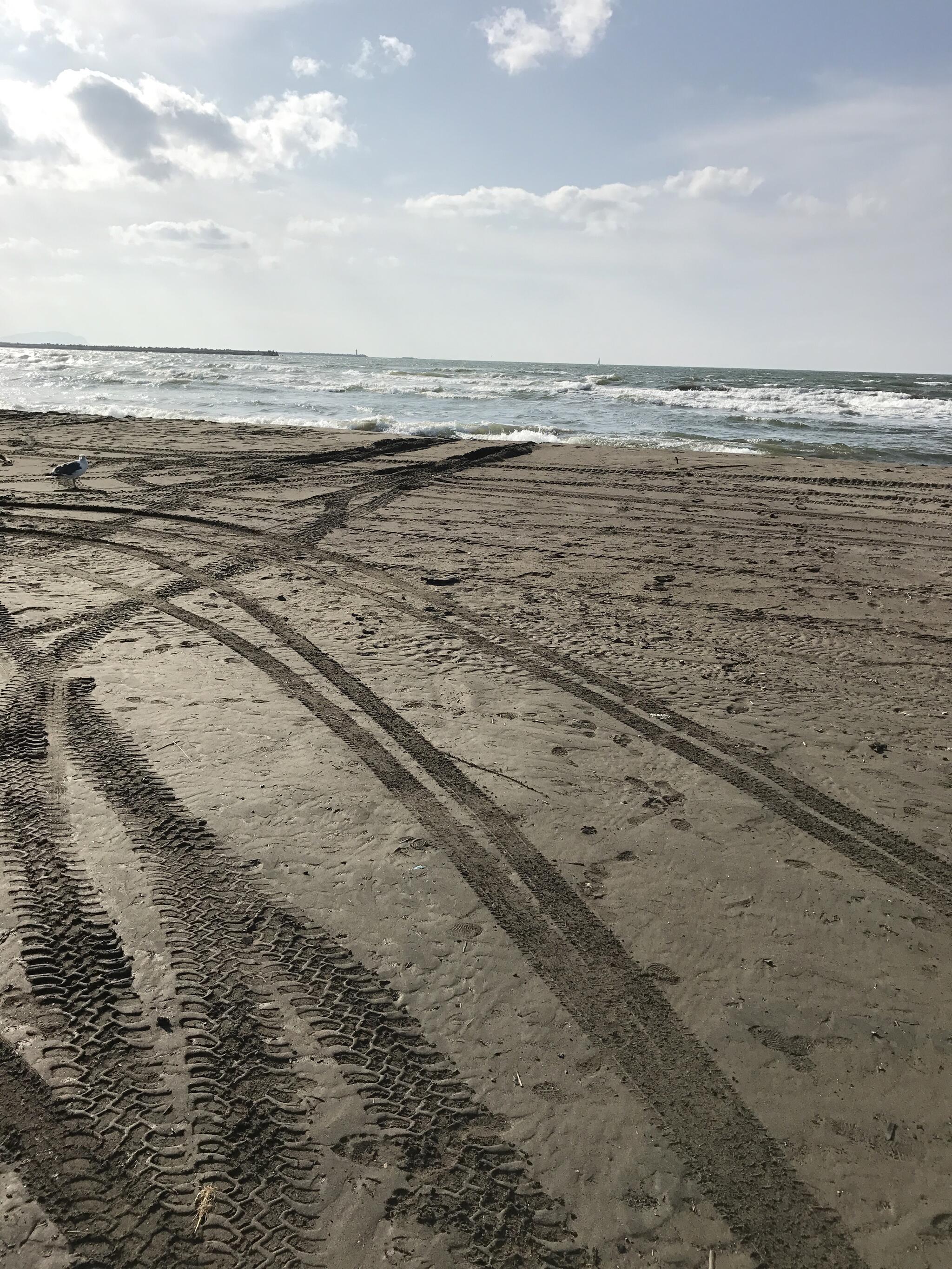 石狩浜海水浴場の代表写真2