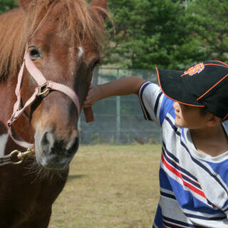MRC乗馬クラブ広島の写真3
