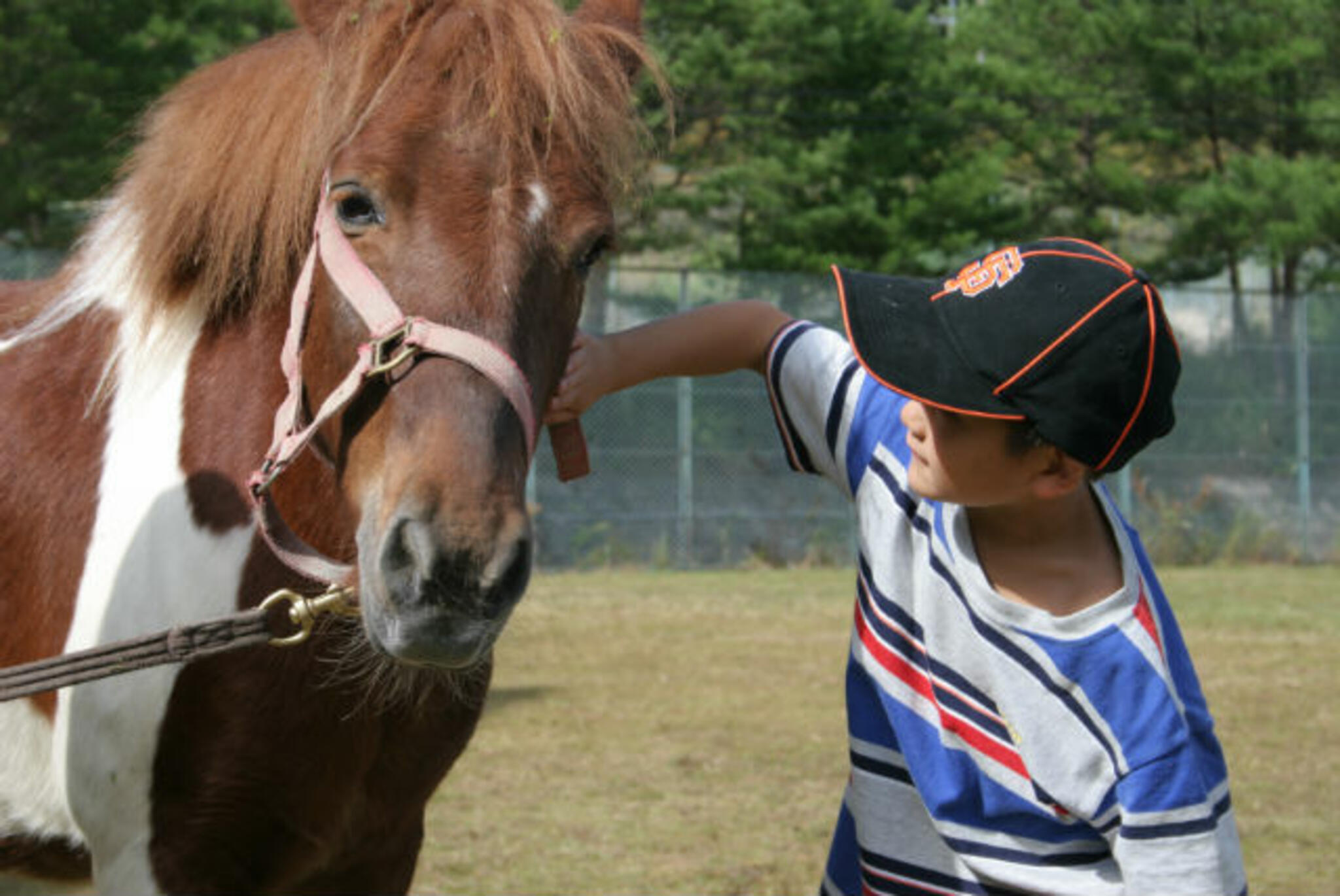 MRC乗馬クラブ広島の代表写真3