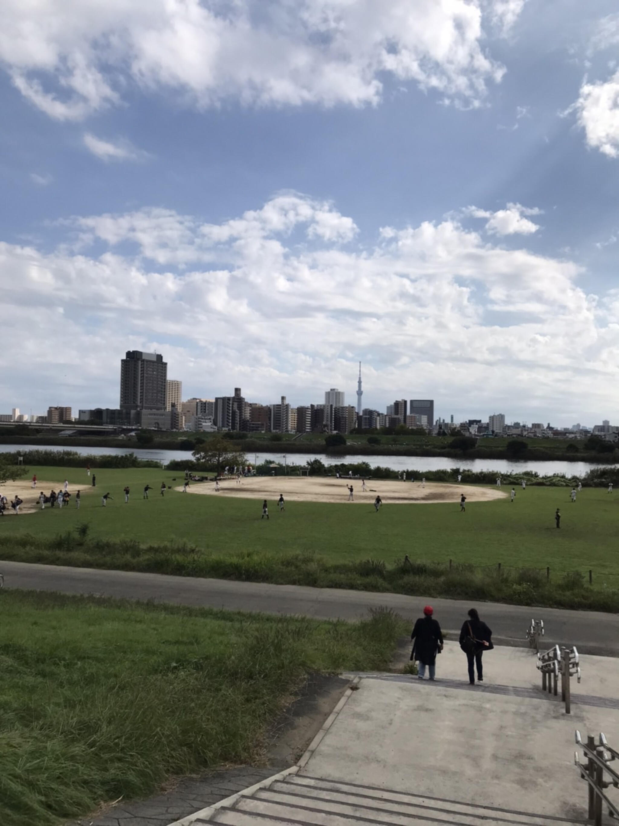 西新井橋緑地野球場の代表写真3