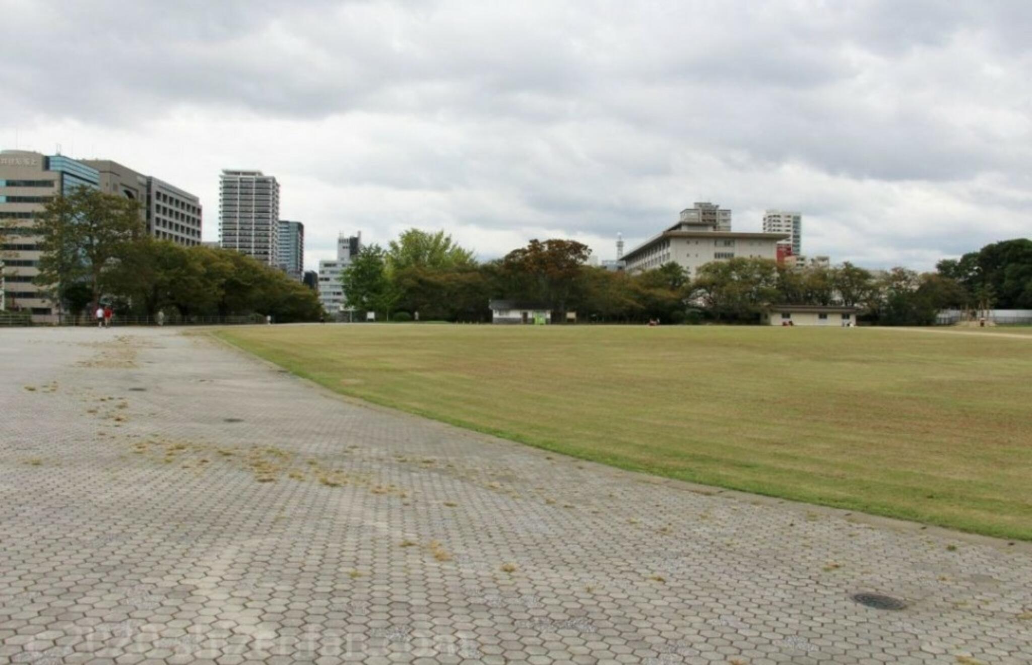 福岡市立 野球・ソフトボール場舞鶴公園野球場の代表写真7