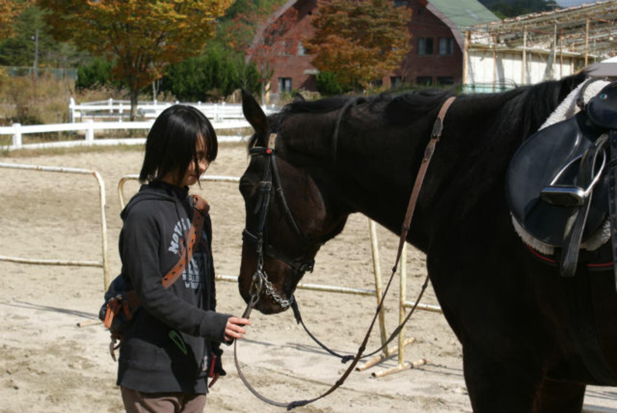 MRC乗馬クラブ広島の代表写真4