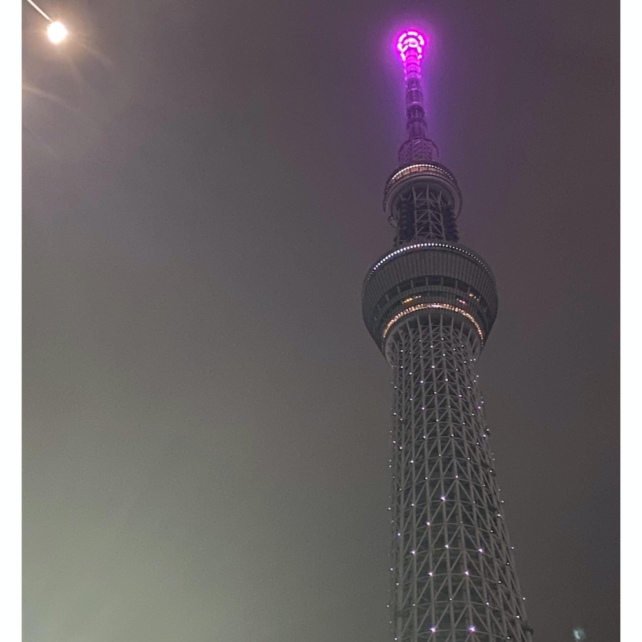 東京タワーの代表写真6