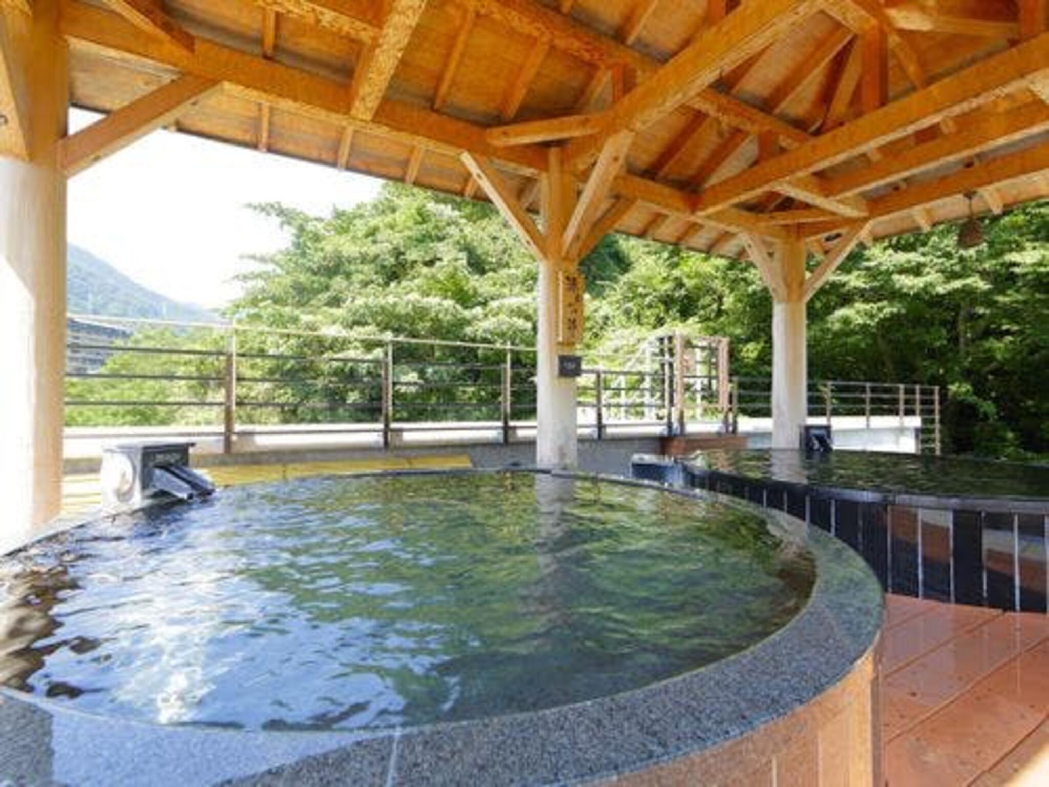 箱根湯本温泉 天成園の代表写真2