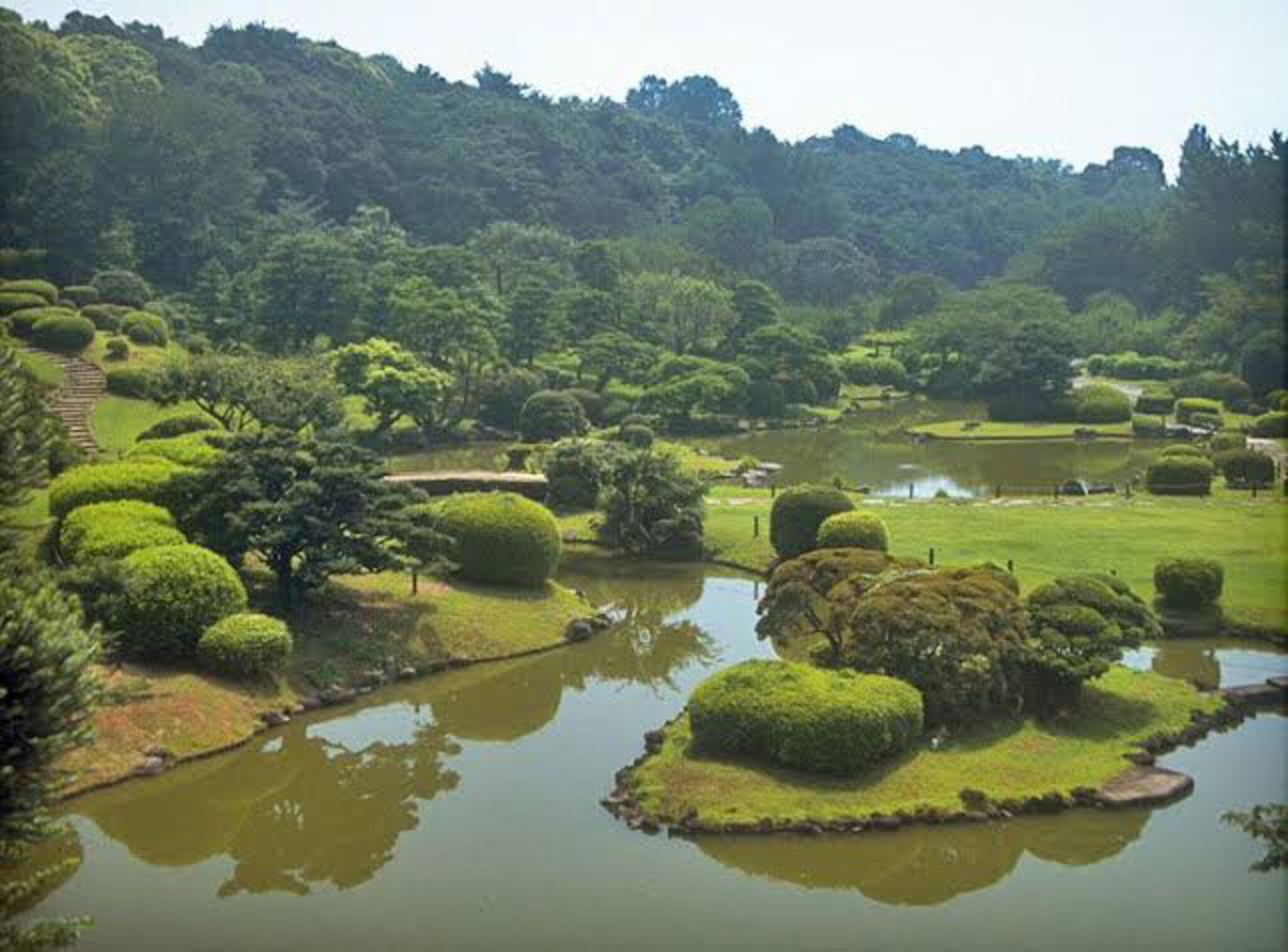小石川植物園の代表写真9
