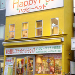 ハッピー ペット 小田原 ストア 店