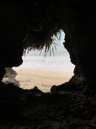 ジュラ紀温泉　美ら海の湯のクチコミ写真1